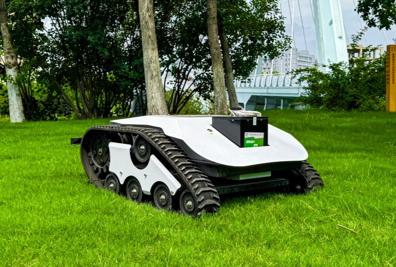 Lithium-iron Lawn Mower