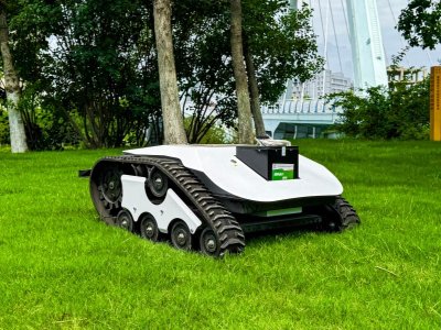 Lithium-iron Lawn Mower